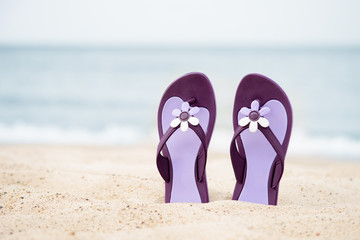 Beautiful purple flip-flops on the beach