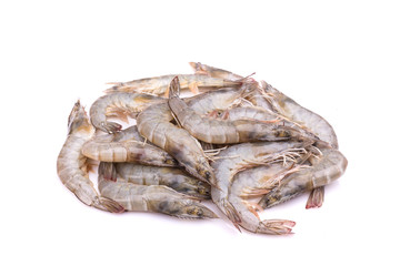 Fresh shrimp isolated on white background
