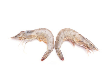 Fresh shrimp isolated on white background