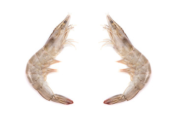 Fresh shrimp isolated on white background