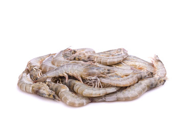 Fresh shrimp isolated on white background