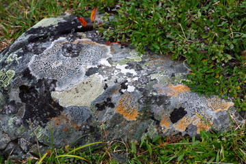 Travel to Eastern Sayan mountains