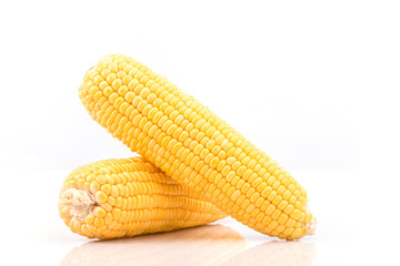 Yellow fresh raw corn cobs isolated on white background