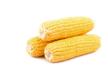 Yellow fresh raw corn cobs isolated on white background