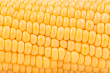 Yellow fresh raw corn cobs isolated on white background