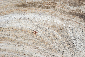 Texture of natural stone (Travertine) for background design