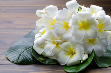 a group of white plumeria flora with green leaf on wooden ground