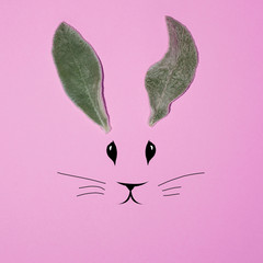Fototapety  Uszy królika z liści na różowym tle