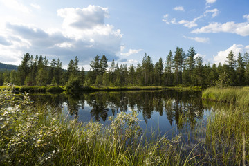 Obraz premium Open landscape 