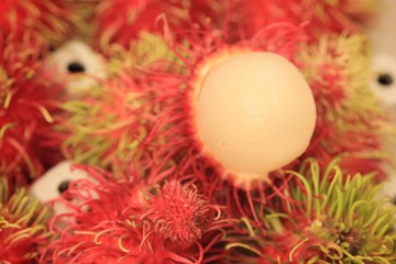 Rambutan fruit