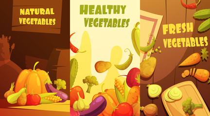 Organic Vegetables Vertical Banners Cartoon Poster 