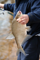 Spring fishing on the river