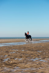 cavalière en bord de mer