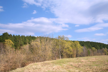 Fototapeta na wymiar spring landscape