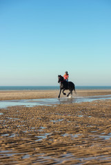 cavalière en bord de mer
