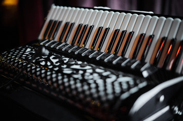Details of an old accordion - obrazy, fototapety, plakaty