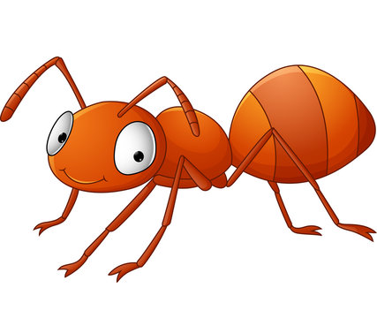 Cute ant cartoon
