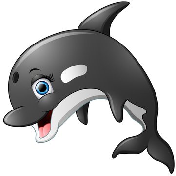 Happy killer whale cartoon