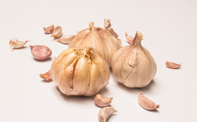 Garlic isolated