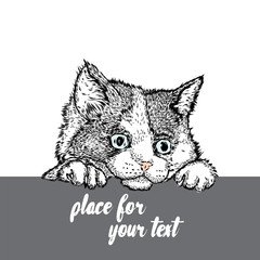 Cute kitten. Vector illustration for greeting card, poster, or print on clothes.