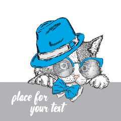 Cute kitten wearing glasses and a hat. Vector illustration.