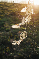 dreamcatcher hanging from a tree in a field at sunset