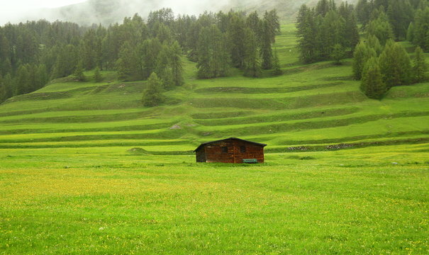 Standing Alone in the countryside