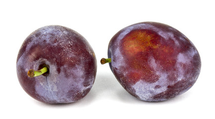Plum on a White background.