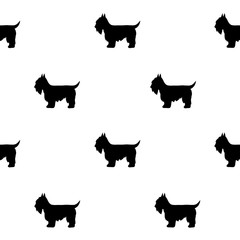 Cute dogs