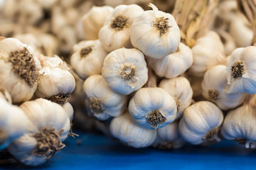 garlic close up