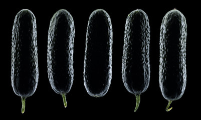 Cucumbers isolated on black background