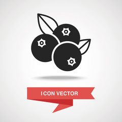 fruits blueberry icon