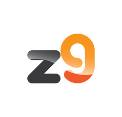 z9 initial grey and orange with shine