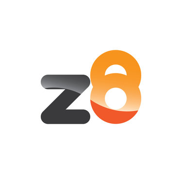 z8 initial grey and orange with shine