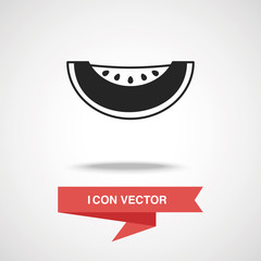 fruits melon icon