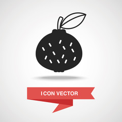 fruits orange icon