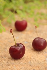 Fresh cherries