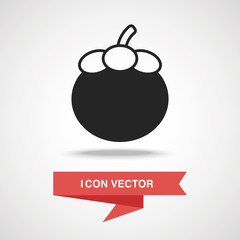 fruits Mangosteen icon