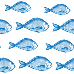 Fish seamless vector pattern. Seafood pattern hand drawn.