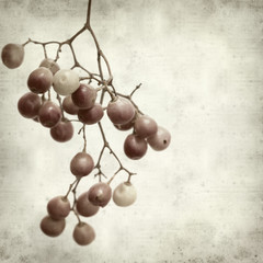 textured old paper background