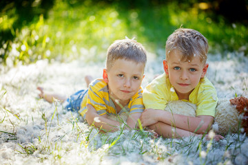 Two little boys friends in  hugging and lying on grass in summer