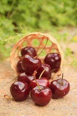 Fresh cherries