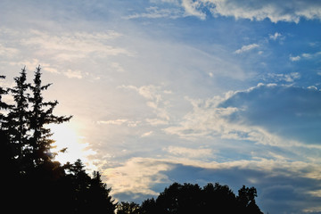 beautiful sunset sky with clouds and silhouettes of spruce trees