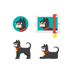 cat icon in different situations