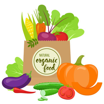 Paper bag with colorful vegetables. Handwritten lettering - organic food. Vector stock illustration.