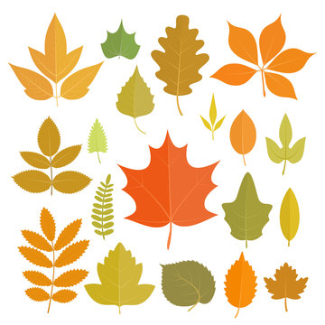 Set of yellow autumn leaves icons isolated on white background. Vector stock illustration.