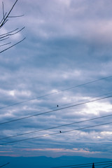 Fototapeta premium blue cloud and little two bird