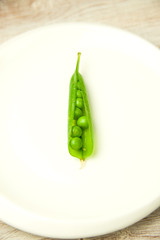 Green pea pod on the big white plate.