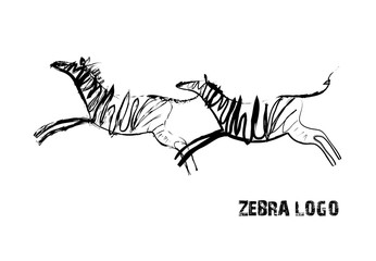 Zebra © happy_job