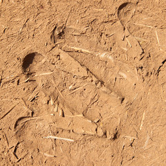 texture of clay and straw